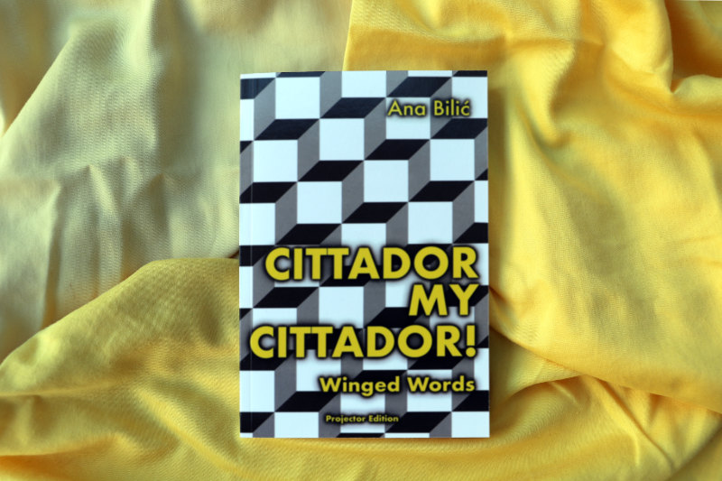 Ana Bilic: Something Like an Eternal Literature